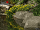 Casse-tete : Paysage - Fleurs et rochers près de l'eau
